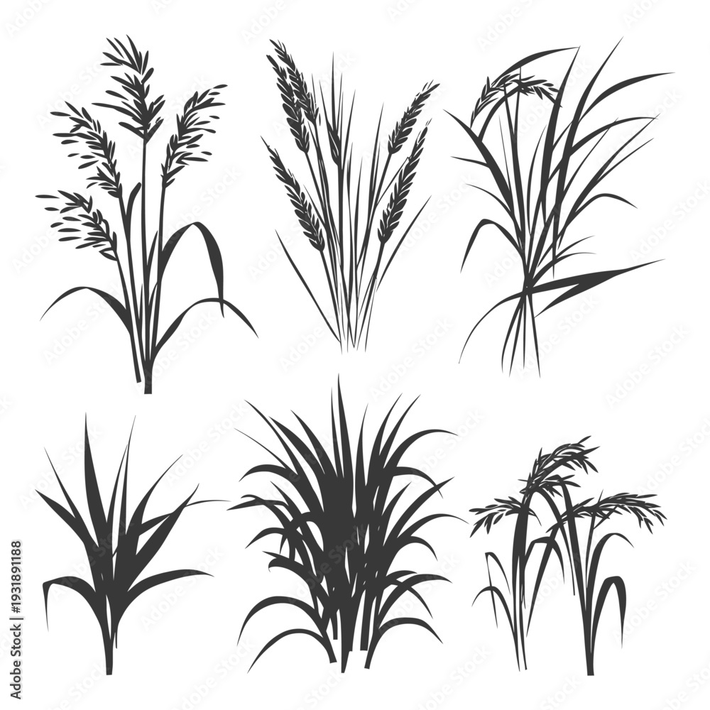 Obraz premium Collection of Six Black and White Grass Silhouettes