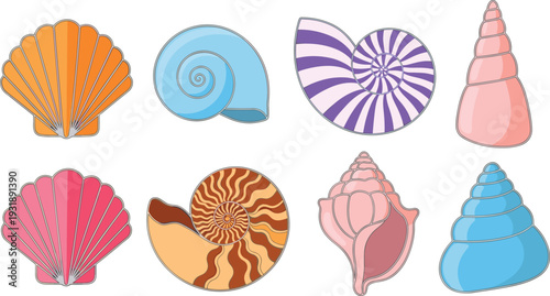 Colorful seashells on white background sea shell ocean beach