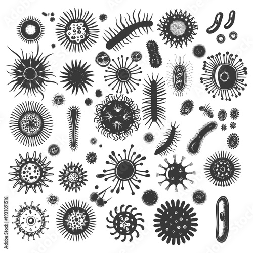 Collection of Various Black and White Microorganisms