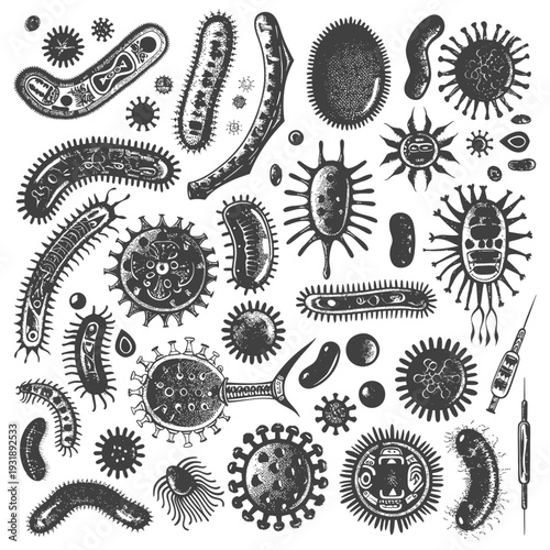 Hand Drawn Illustration of Various Bacteria and Viruses
