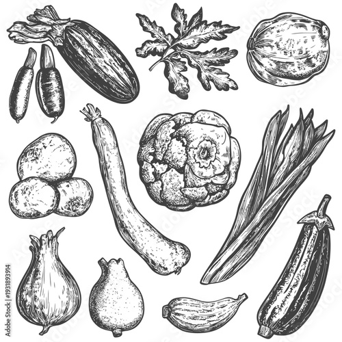 Hand-Drawn Sketch of Various Vegetables and Herbs