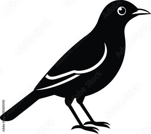 Myna Silhouette Vector Art Illustration