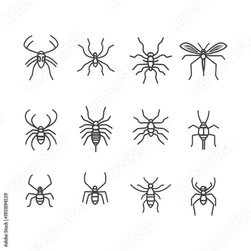 Line Drawings of Spiders and a Mosquito