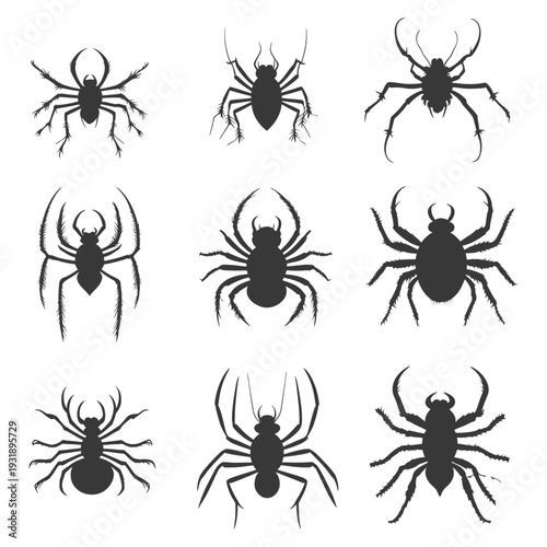 Nine Black Spider Silhouettes on a White Background