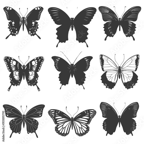 Nine Detailed Silhouettes of Butterflies with Spread Wings