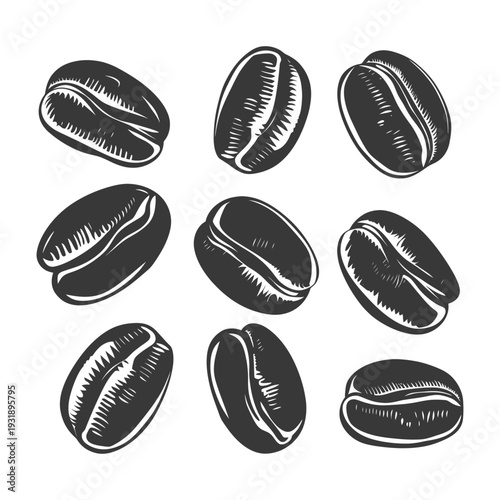Nine Detailed Silhouettes of Coffee Beans