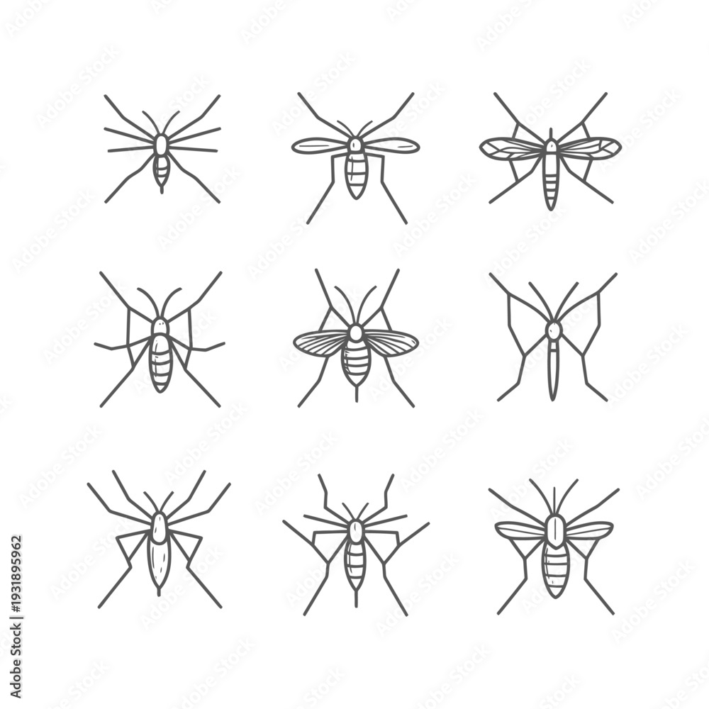 Obraz premium Nine Gray Line Drawings of Mosquitoes