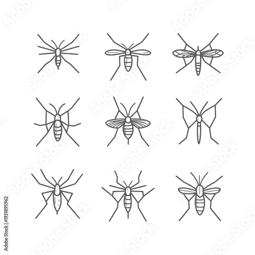 Nine Gray Line Drawings of Mosquitoes