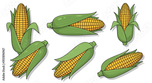 Collection of six illustrated corn cobs with bright yellow kernels and green husks, drawn in a clean cartoon style and arranged in various positions for a farm harvest concept
