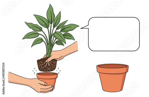 Instructional illustration of hands repotting a green houseplant into a new terracotta pot, with an empty pot and a blank speech bubble for text, showing the process of plant care