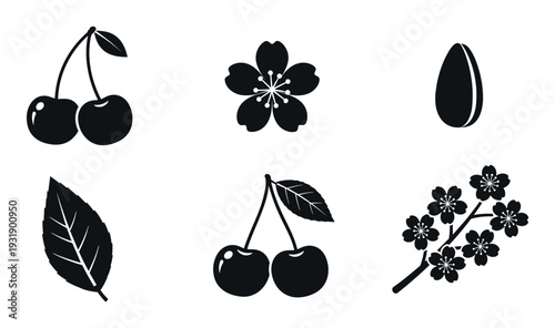 Collection of black silhouette cherry icons showing the fruit, sakura flower, pit, leaf, and a blooming branch, presented as a simple flat graphic illustration set