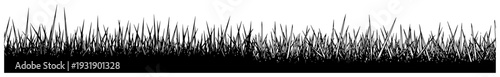 Detailed hand drawn horizontal border of grass for landscape design
