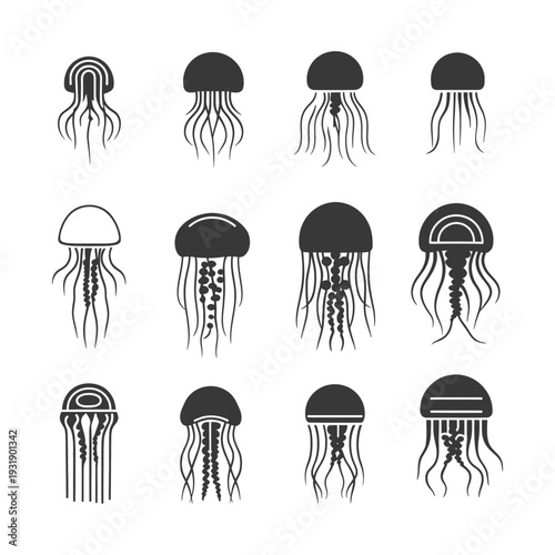 Set of 12 different black jellyfish silhouettes
