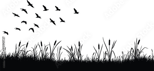Black silhouettes of birds flying over grass and cattails