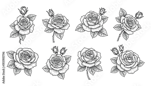 Set of eight vintage rose illustrations in a detailed black and white engraving style, featuring blooming flowers with delicate petals, buds, and leaves for a classic, romantic look