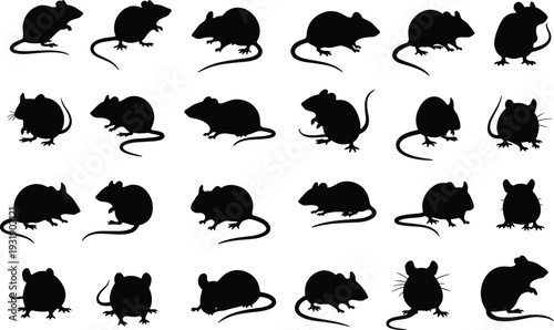 Black silhouettes of mice in various poses on white background mouse rodents