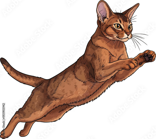 Abyssinian cat jumping leaping athletic vector illustration