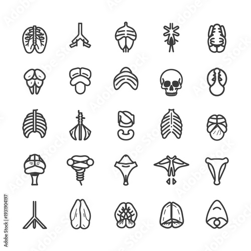 Set of 25 Human Anatomy Line Icons