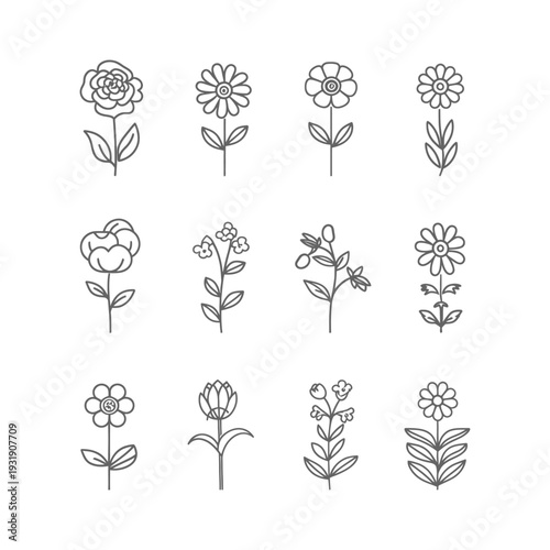 Set of nine hand-drawn outline floral illustrations