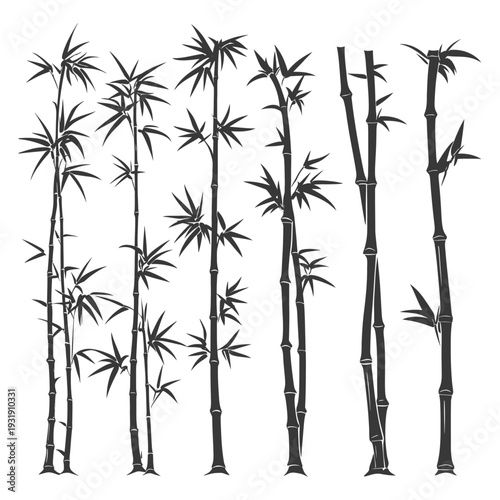 Silhouettes of Different Styles of Bamboo Plants