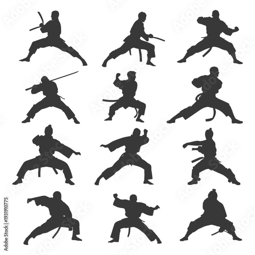 Silhouettes of Martial Artists in Various Fighting Stances
