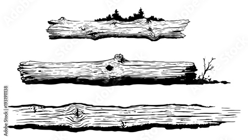 Set of hand drawn horizontal wood logs and tree trunks with detailed grain texture