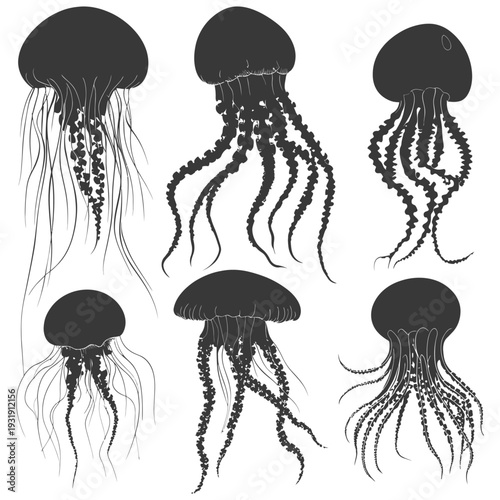 Six Silhouettes of Jellyfish with Different Tentacle Shapes