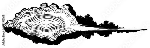 Abstract ink drawing of organic wood grain texture and wavy circular patterns