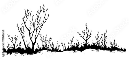 Black silhouette of bare winter trees and thick bushes against a white background