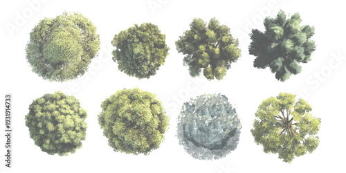 Set of top view trees for landscape design and architectural visualization realistic vector illustration isolated on white background