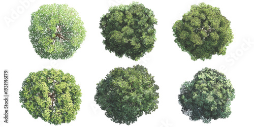 Set of realistic top view trees for landscape design and architectural planning isolated on white background vector illustration