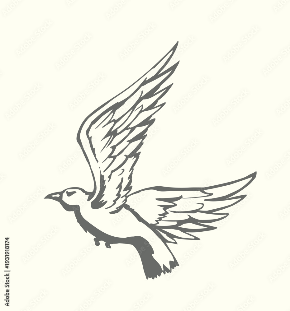 Fototapeta premium Vector drawing. Big flying bird