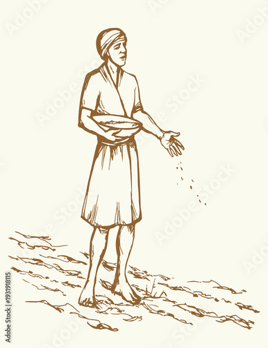 Vector drawing. A man sowing wheat