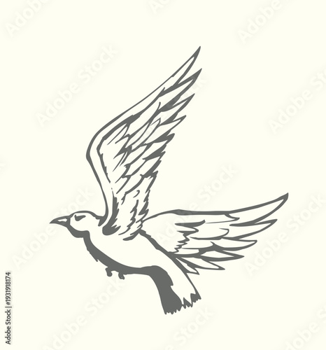 Vector drawing. Big flying bird