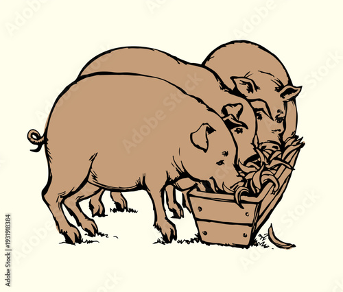Vector drawing. Pigs eating rhe food