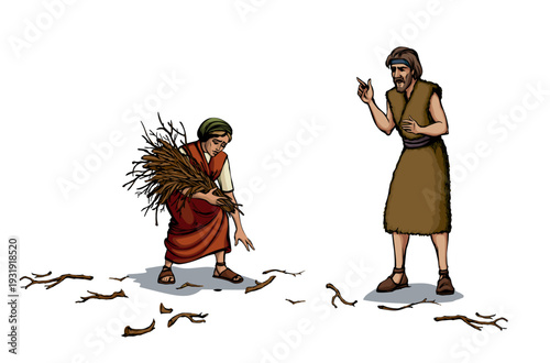 Vector drawing. Woman collecting firewood