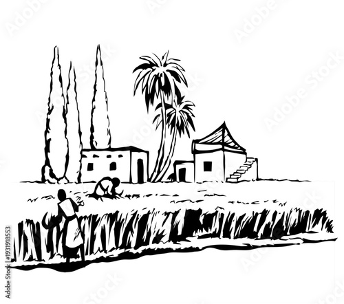 Vector drawing. Reapers in the field