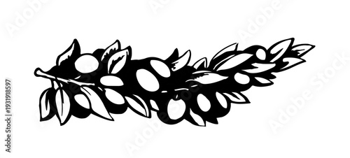 Vector drawing. Olive branch with fruits