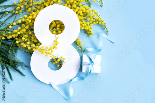 Mimosa flowers on blue spring background, 8 march day festive background, mim...