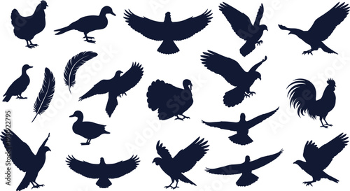 Farm and wild bird silhouettes vector set, chicken duck turkey and flying birds collection, black poultry and feather clipart bundle