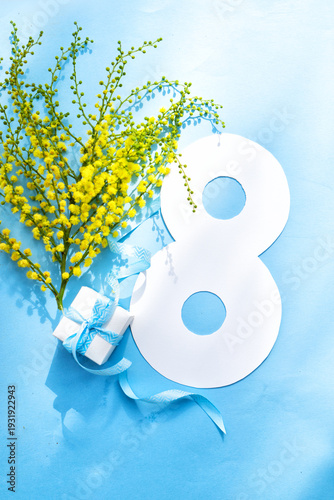 Mimosa yellow flowers on blue spring background, 8 march day festive backgrou...