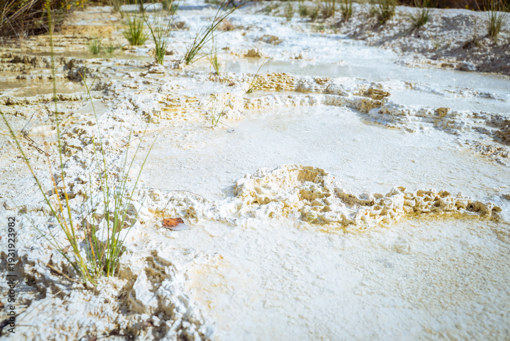 Fototapeta premium Terme San Filippo, Siena, Tuscany, Italy: Mineral deposits and water in a natural landscape
