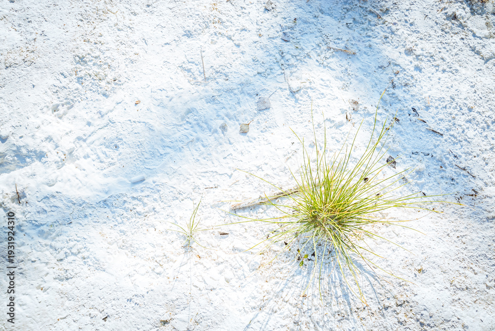 Obraz premium Terme San Filippo, Siena, Tuscany, Italy: White sand with green grass and shadows