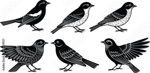 Songbird silhouettes vector collection, small passerine birds in perched and wing spread poses, detailed black and white wildlife illustration set