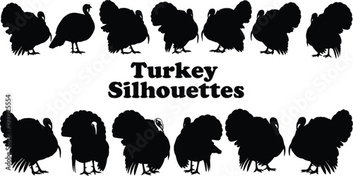 Turkey silhouette collection vector set, wild and farm turkey bird poses illustration, black thanksgiving poultry clipart bundle