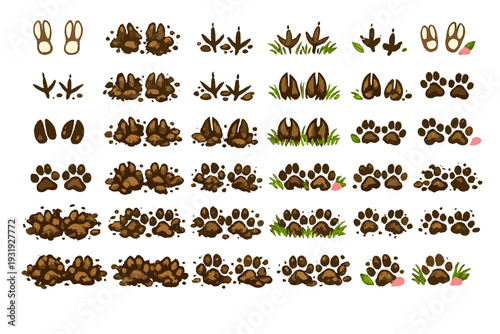 Different types of animal tracks and prints in various shapes on a plain white background