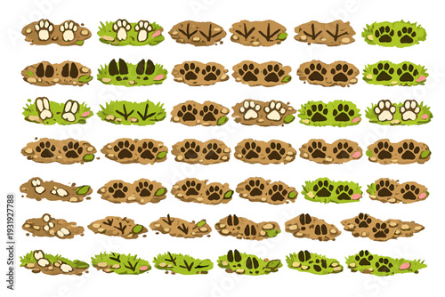 Different animal tracks found in various terrains showing the patterns left behind by wildlife in nature