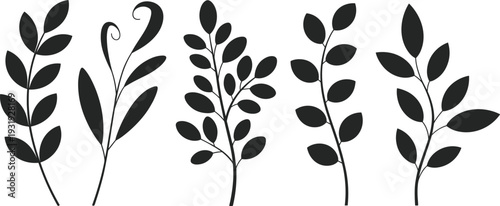 Elegant minimalist black botanical leaf silhouettes collection, modern floral branch illustrations isolated , Scandinavian style foliage clipart set for logo, branding and wall decor