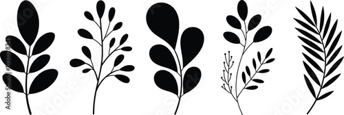 Minimalist black botanical and tropical leaf silhouettes set, modern foliage branch illustrations isolated on white background, Scandinavian style nature clipart elements for logo, branding and decor