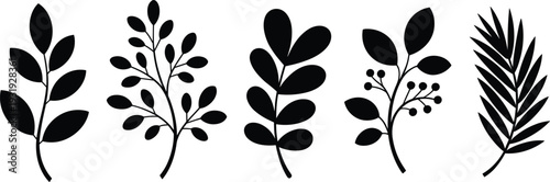 Minimalist black botanical and tropical leaf silhouettes collection, modern foliage branch illustrations isolated on white background, Scandinavian style nature clipart set for logo and branding